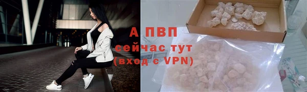 сатива Володарск