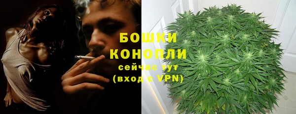 прущие крисы Верея