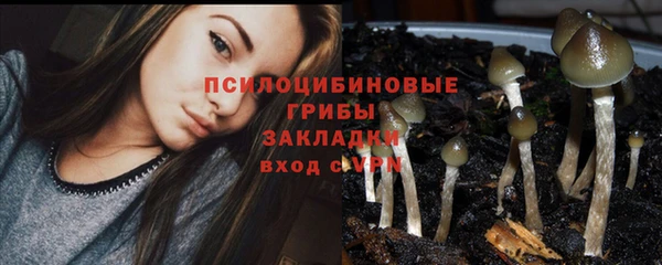 сатива Володарск