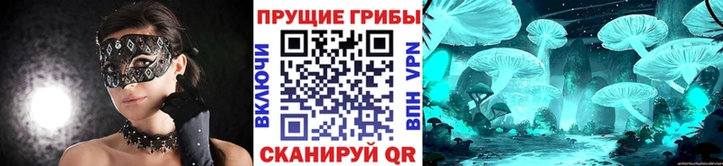 Псилоцибиновые грибы мухоморы  Кашира 
